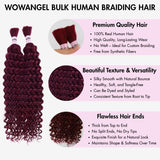 WOWANGEL 99J Burgundy Color Bulk Human Hair for Braiding Deep Wave 100g - wowangel